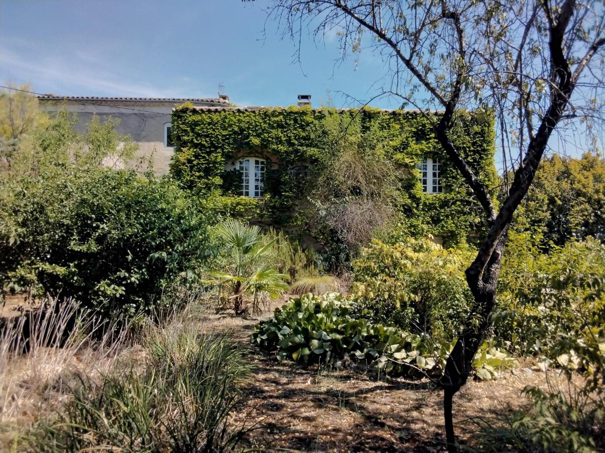 Le Domaine Du Soulier -Gite Et Chambres D'Hotes - La Maison Du Gardien Tornac Exteriör bild